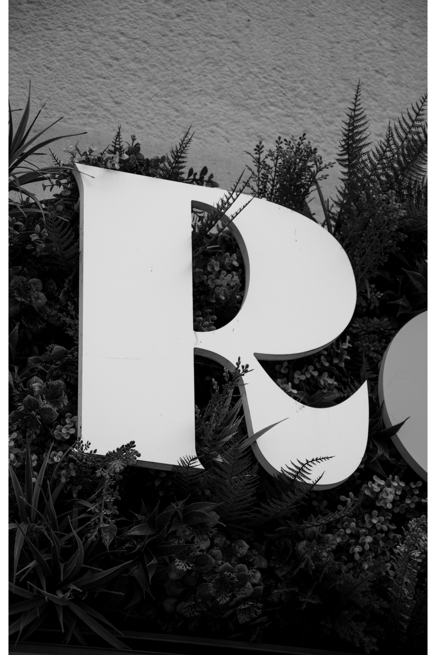 Lettre R